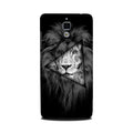 Lion Star Case for Mi 4 (Design No. 226)