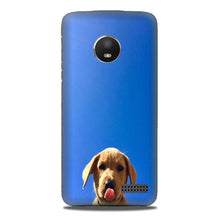 Dog Mobile Back Case for Moto E4 (Design - 332)