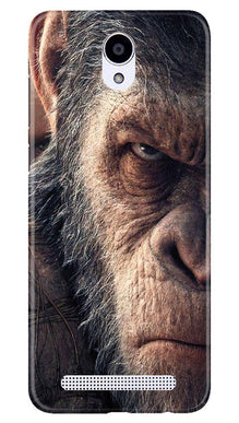 Angry Ape Mobile Back Case for Xiaomi Redmi Note Prime (Design - 316)