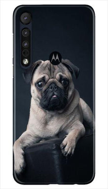 little Puppy Mobile Back Case for Moto One Macro (Design - 68)