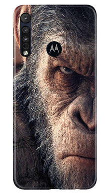 Angry Ape Mobile Back Case for Moto One Macro (Design - 316)