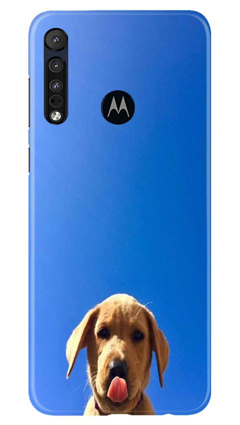 Dog Mobile Back Case for Moto One Macro (Design - 332)