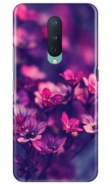 flowers Mobile Back Case for OnePlus 8 (Design - 25)