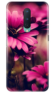 Purple Daisy Mobile Back Case for OnePlus 8 (Design - 65)