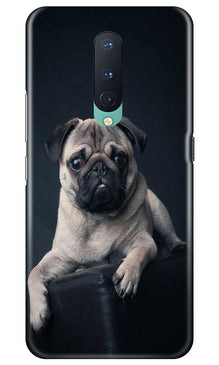 little Puppy Mobile Back Case for OnePlus 8 (Design - 68)