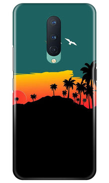 Sky Trees Mobile Back Case for OnePlus 8 (Design - 191)