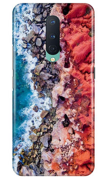 Sea Shore Mobile Back Case for OnePlus 8 (Design - 273)