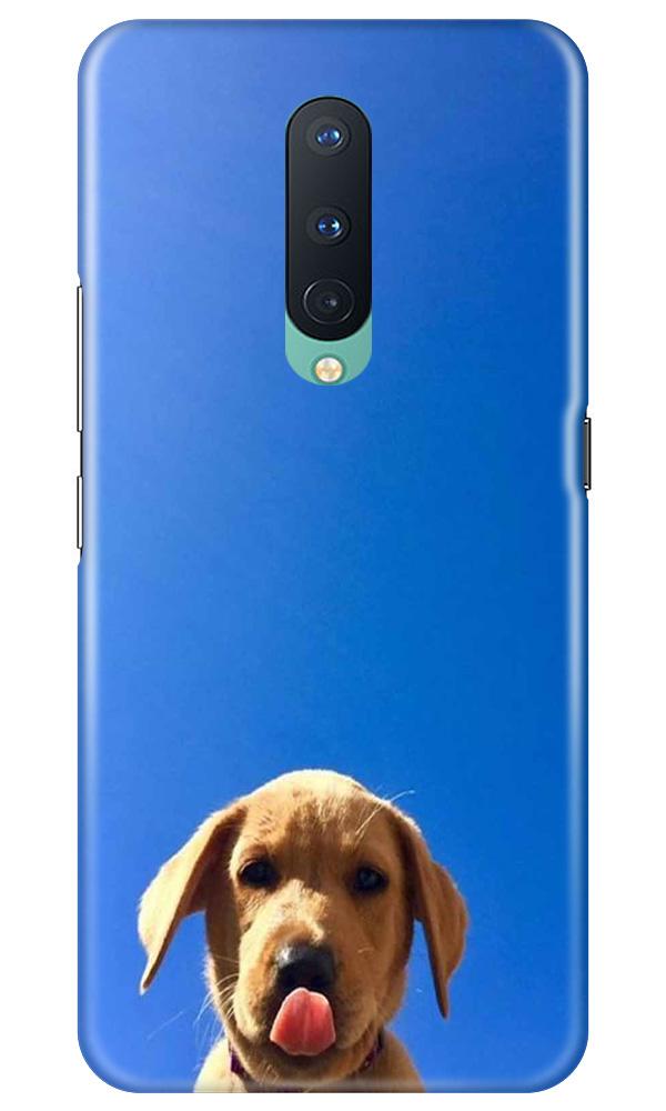 Dog Mobile Back Case for OnePlus 8  (Design - 332)
