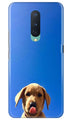 Dog Mobile Back Case for OnePlus 8  (Design - 332)
