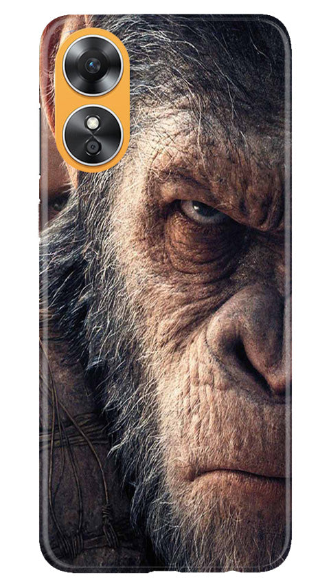 Angry Ape Mobile Back Case for Oppo A17 (Design - 278)