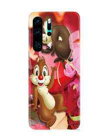 Chip n Dale Mobile Back Case for Huawei P30 Pro (Design - 349)