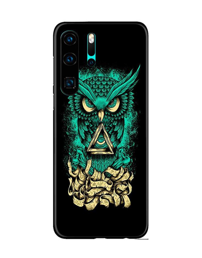 Owl Mobile Back Case for Huawei P30 Pro (Design - 358)