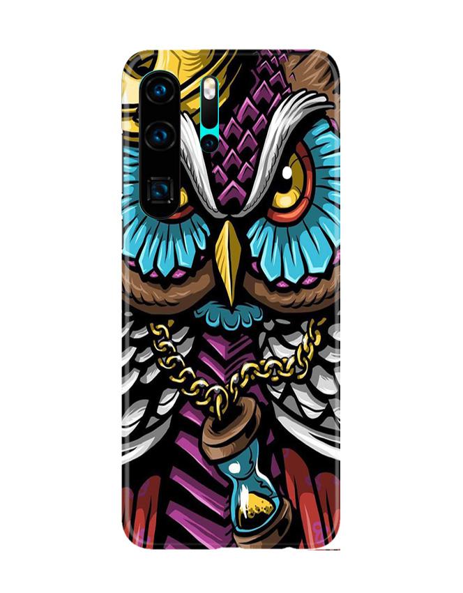 Owl Mobile Back Case for Huawei P30 Pro (Design - 359)