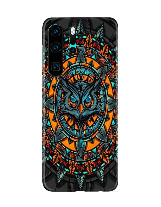Owl Mobile Back Case for Huawei P30 Pro (Design - 360)