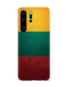 Color Pattern Mobile Back Case for Huawei P30 Pro (Design - 374)
