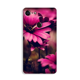 Purple Daisy Case for Google Pixel 3 XL