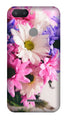 Coloful Daisy Case for Redmi 6