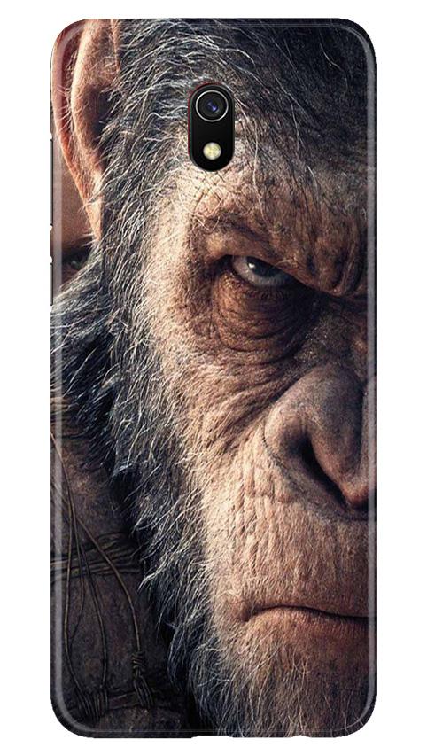 Angry Ape Mobile Back Case for Xiaomi Redmi 8A(Design - 316)