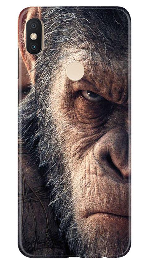 Angry Ape Mobile Back Case for Redmi Y2 (Design - 316)