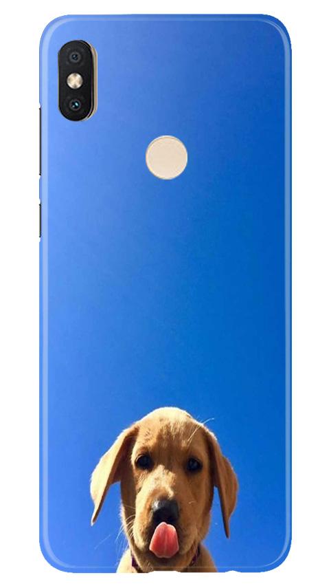 Dog Mobile Back Case for Redmi Y2 (Design - 332)