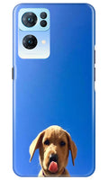Dog Mobile Back Case for Oppo Reno7 Pro 5G (Design - 294)