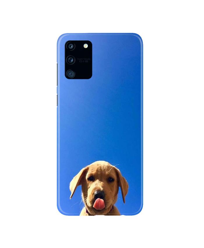 Dog Mobile Back Case for Samsung Galaxy S10 Lite   (Design - 332)