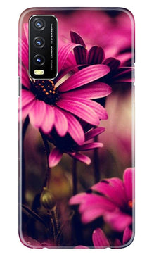 Purple Daisy Mobile Back Case for Vivo Y20i (Design - 65)