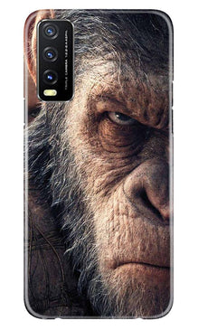 Angry Ape Mobile Back Case for Vivo Y20G (Design - 316)