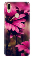 Purple Daisy Case for Zenfone 5z