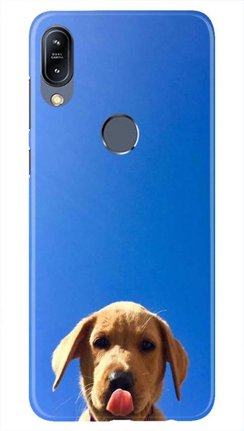 Dog Mobile Back Case for Vivo Y11 (Design - 332)